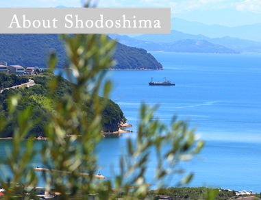 About Shodoshima