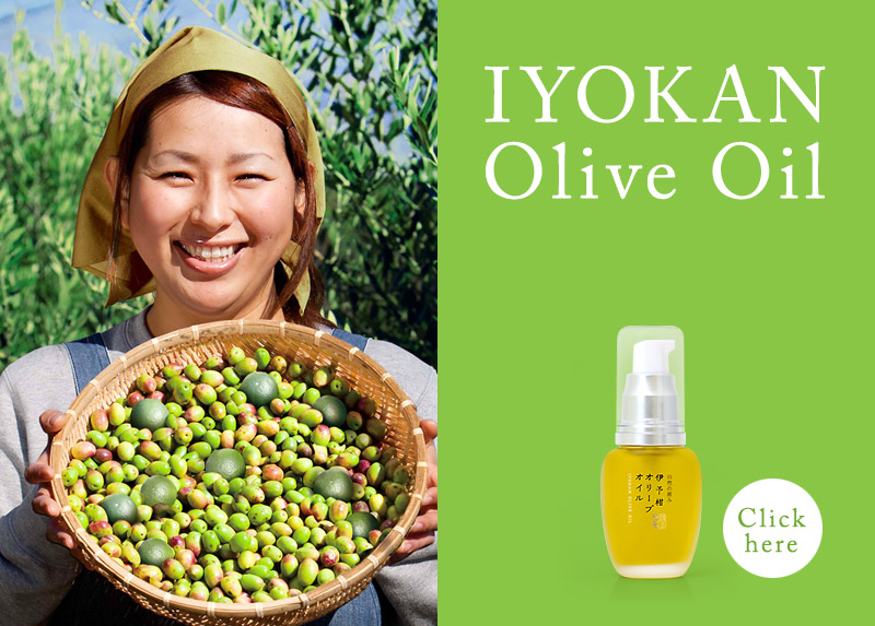 Iyokan (citrus iyo) Olive Oil
