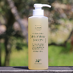 Olive Oil Shampoo